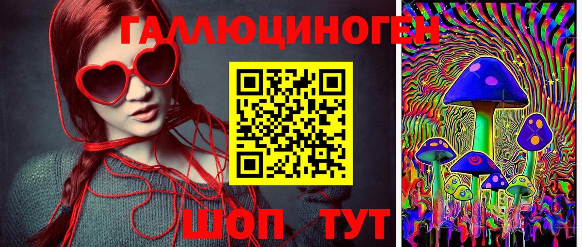 Псилоцибиновые грибы GOLDEN TEACHER Лениногорск